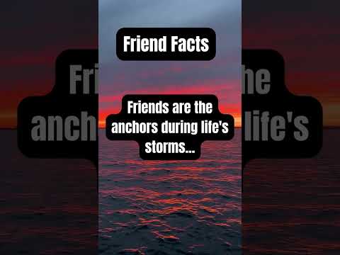 Friends are the anchors during life's storms...