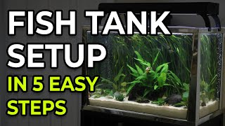 How to Set Up a Freshwater Fish Tank – First Aquarium Setup Guide