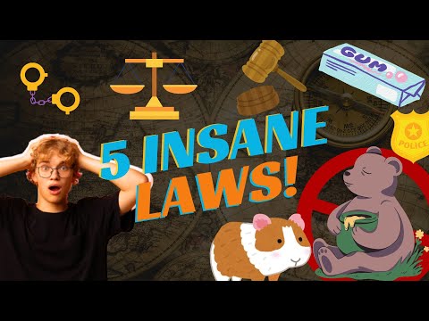 Insane laws from across the world | The Weirdest Laws | #bizarrelaws #crazylaws #funfacts #top10