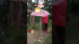 Babon kena pancing jaring 😃 #mancingjaring #mancingliar  #shortsvideo