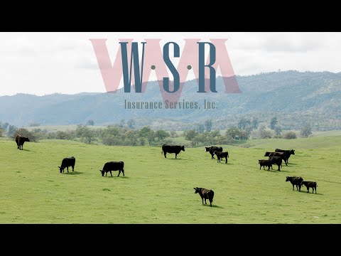 Drought Got Your Hay Costs SOARING? Here's What to Do!