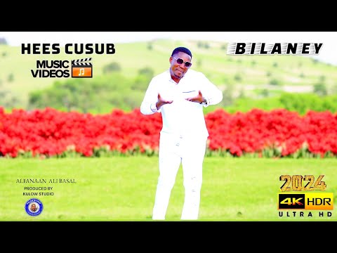ALI BASAL | BILANEY |  OFFICIAL MUSIC VIDEO 2024