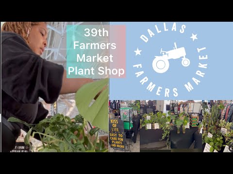 39th Farmers Market | 3 Markets 1 Weekend | Plant Shop Setup | Part 2