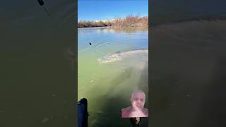 #fishing #master #big #fish #fishing #virel #video #Green screen #short #subscribe #like #share