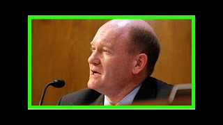 Us Latest News - Senator urges listeners to trump can interfere with us, lawyer