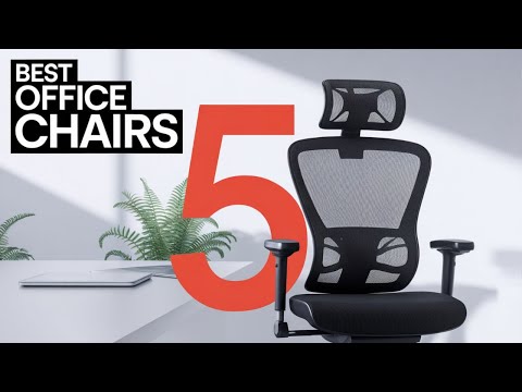 5 Best Ergonomic Office Chairs for Back Pain in 2024
