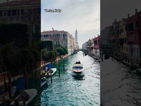 Venice: The City of Love #shorts #italy #travel #venezia #europe #love #art #trending #ytshorts