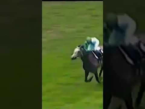 1993年　宝塚記念　メジロマックイーン