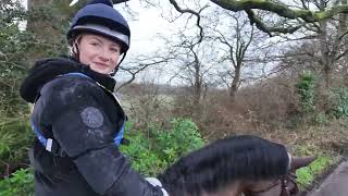 Harlow's family hack✨️- funny edit! #harlowandpopcorn #horse #edit #equestrian #funny