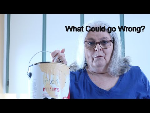 Painting the Built-in Cabinets