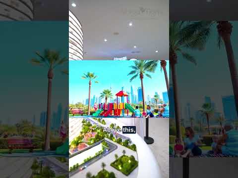 Volga Tigris - Digital Marketing Agency, Dubai, UAE