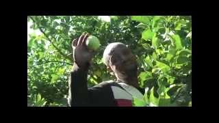 Futuregrowth Agri Fund (International)