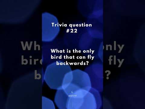 What is the only bird that can fly backwards? #learningfacts #trivia