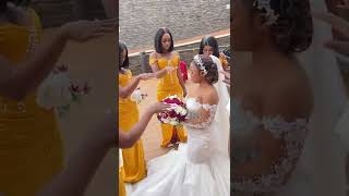 Unity is strength #shorts