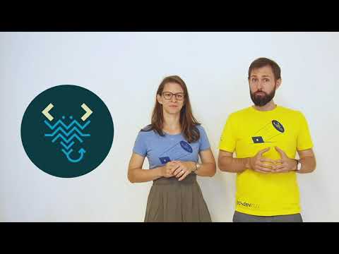 sec4dev 2021-Teaser