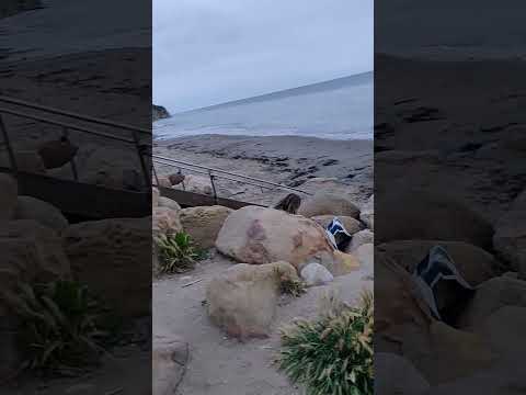 by the beach