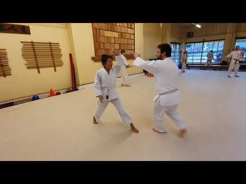 Shomenuchi Iriminage 4 variants - year 1