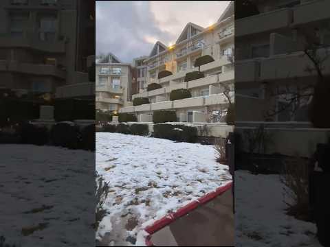 2025 snowfall in murree and bhurban #viralvideo #youtube #shorts