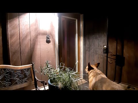 Pumunta kami sa in-laws ko, early dinner ng jordanian chicken shawarma, at naghot tub kami ni mister