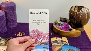 LEO "Your intuition is absolutely correct about this person!" Tarot Love Reading 