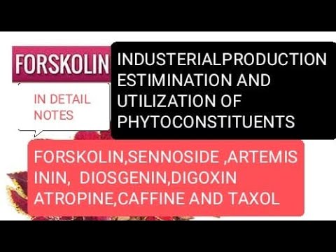 INDUSTRIAL PRODUCTION,ESTIMINATIONS AND UTILIZATIONS OF PHYTOCONSTITUENTS | FORSKOLINE ,SENNOSIDE