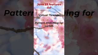 Java 23 Feature list