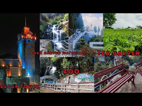 Day 2 in darjeeling | Tea Garden | Zoo | Rock garden waterfall | 