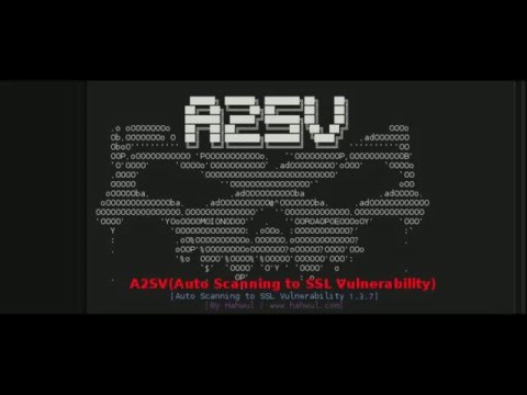 [HACKING] A2SV(Auto Scanning SSL Vulnerability) :: Find SSL Vulnerability