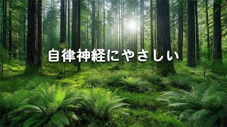【100％広告なし 自律神経にやさしい】心が落ち着くヒーリング音楽 - ネガティブな感情を取り除き、心を浄化し、ストレスや不安を瞬時に解消 （鳥のさえずり・水の音・ピアノ）Relaxing Music