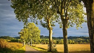 Diseño Web Mobile First Telefonos Inteligentes