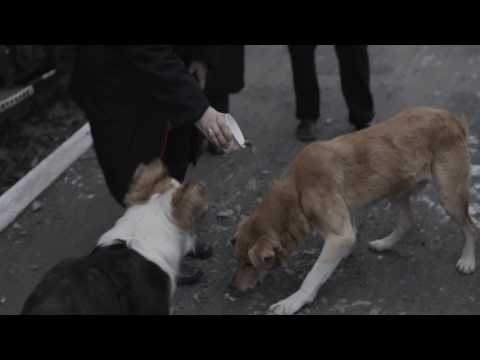 Storytellers х  British council -TransLit - Inrussia