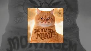 Montagem Miau (Meow Meow Song)