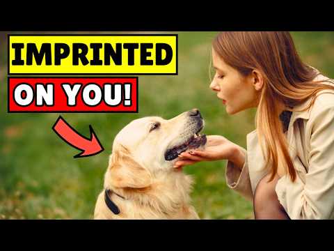 16 Signs Your Dog Considers You Their Mother 💘