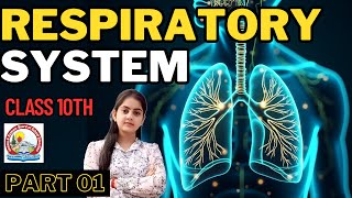 Life Processes | Respiratory System | Part 01 | Class 10th | JKBOSE