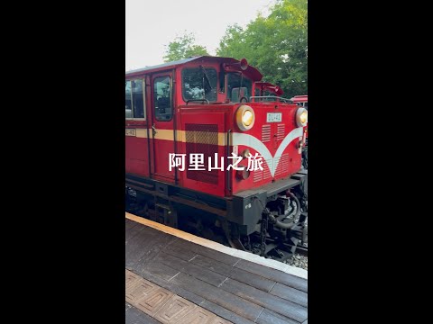 【艾爬山 Vlog #09】【阿里山之旅】