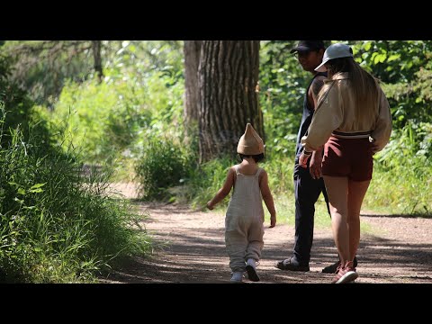 A Walk In The Woods | Stand By Your Man | Tammy Wynette