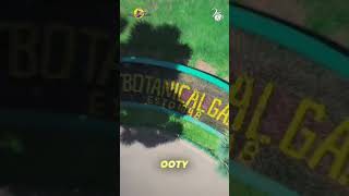 Can’t get enough of the Silicon Valley vibes?