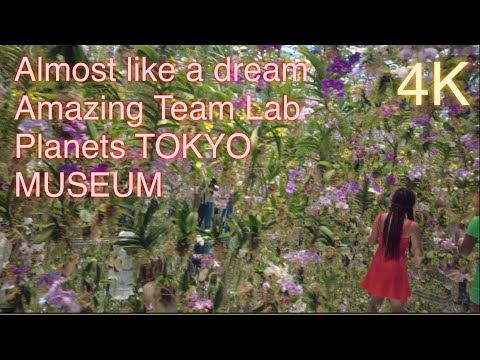 4K ASMR TEAM LAB PLANETS TOKYO-Amazing almost like a DREAM place/Museum tour