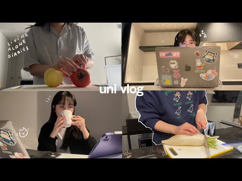 VLOG | Daily life of a uni student living alone with her cat 🐱