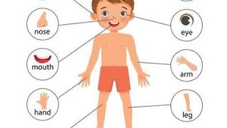 Parts-of-Body #medical #vocabulary #viralvideo #treatmentforallbodyparts #childrenseducation