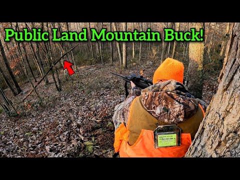 PA RIFLE DEER HUNTING SUCCESS! Opening day of PA rifle season! (2023)