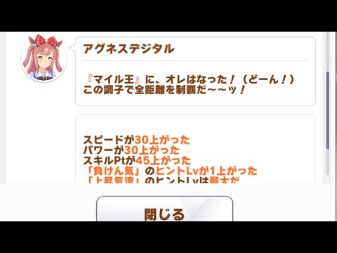 【ウマ娘】マイル王アグネスデジタル【専用イベント】