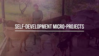 Self-development micro-projects | Via Pacis