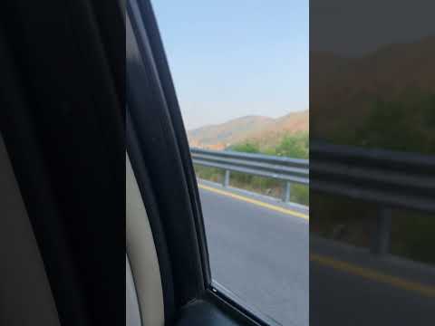 IMG 8473