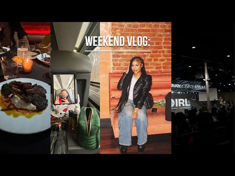 Weekend Vlog: Solo train ride+ Sarahjakes IRL w/my girl + bday dinners + cooking etc!