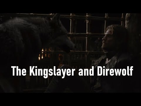 Jaime Lannister and Direwolf #got #gameofthrones