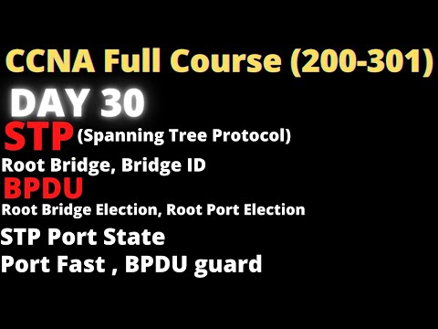 CCNA DAY 30 | STP | Root Bridge, Bridge-id| BPDU |Root Port Election, Root Bridge Election |STP Port