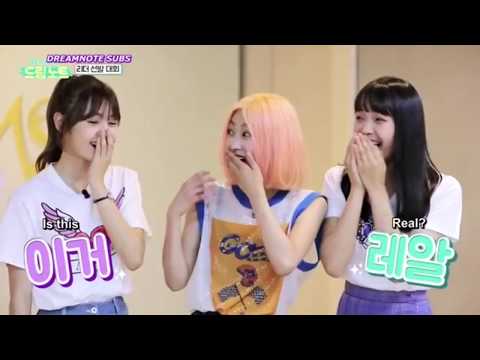 Dream note 드림노트 deciding the LEADER ! WHO's the LEADER?
