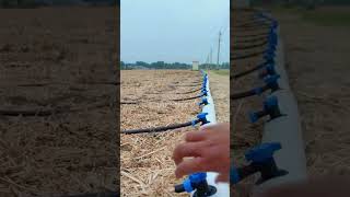 t tape irrigation irrigation tape drip line #shorts #farmer #gardening #lawn #crop