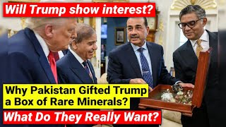 Pakistan shows rare earth minerals to Trump | What Do They Really Want? | Will Trump show interest?